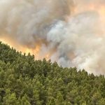 Cinque incendi attivi in Puglia, evacuazioni nel Foggiano: elicotteri in azione in Sardegna | FOTO