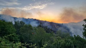 incendio appennino bolognese