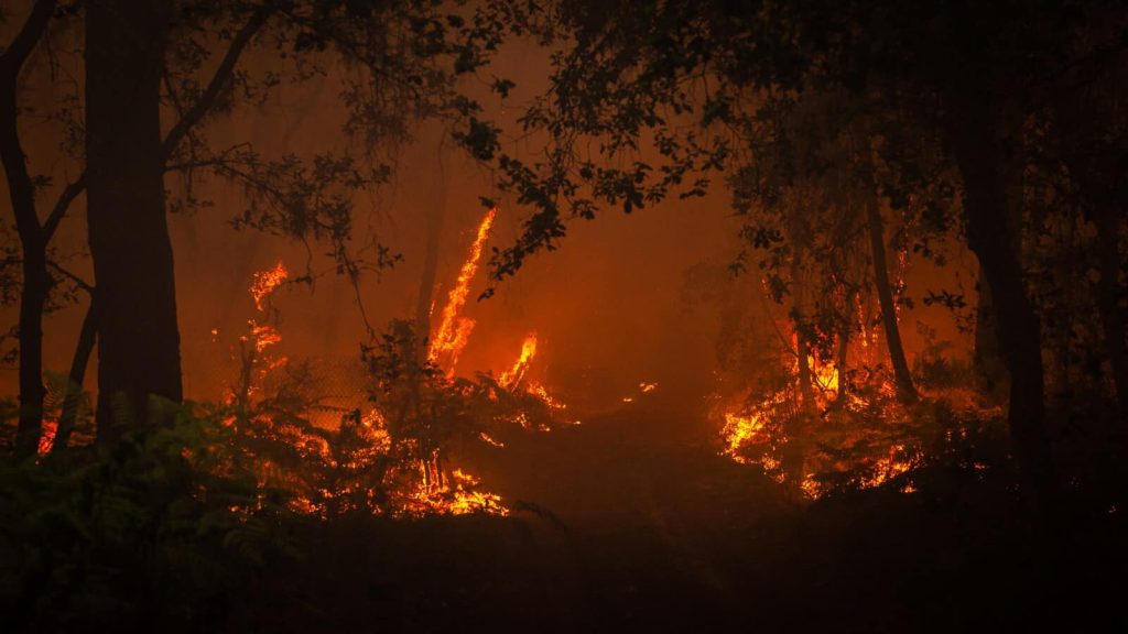 incendio gironda francia
