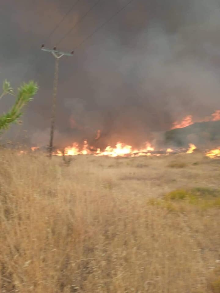 incendio lesbo grecia
