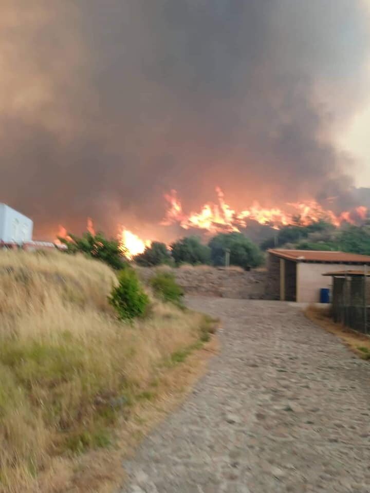 incendio lesbo grecia