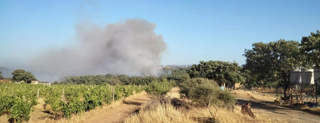 incendio mandas sardegna