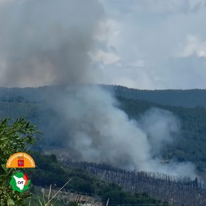 incendio monte pisano