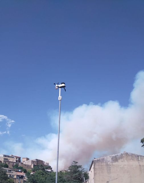 incendio piazza armerina sicilia