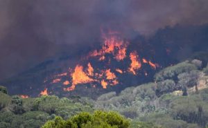 incendio piazza armerina sicilia