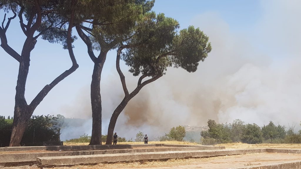 incendio pineta sacchetti roma