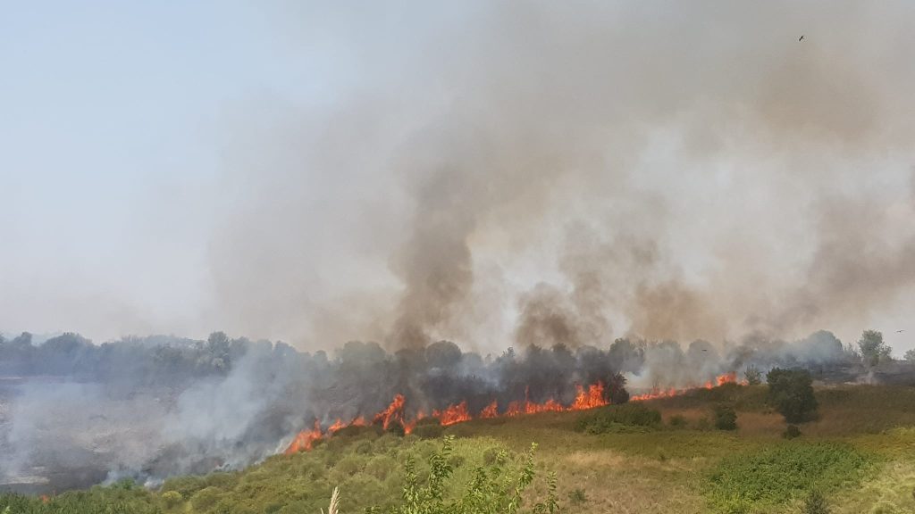 incendio pineta sacchetti roma