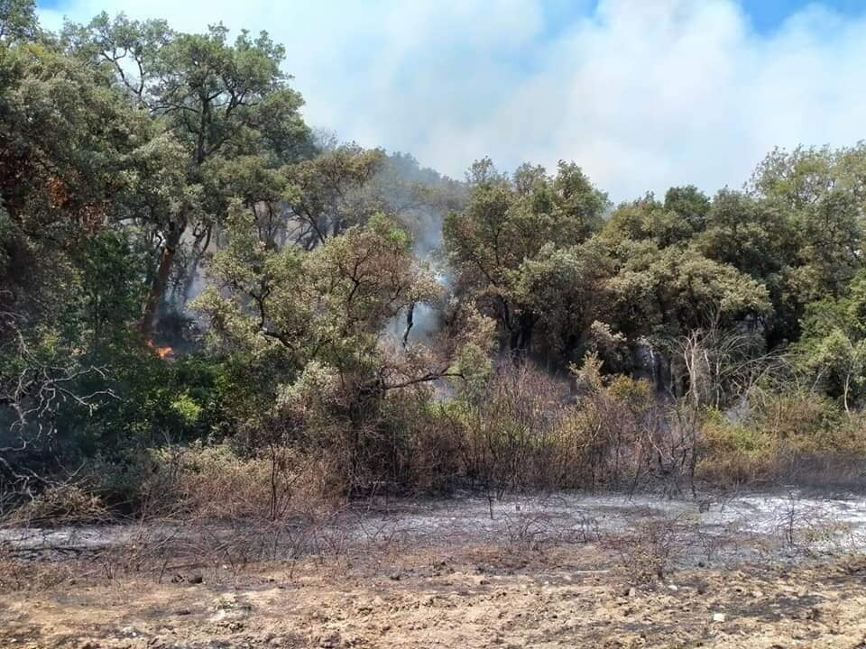 incendio roma pisana