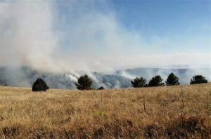 incendio spinazzola puglia