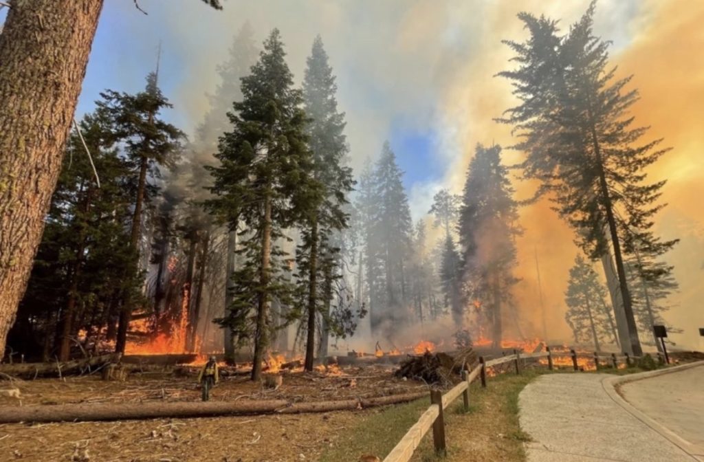 incendio yosemite