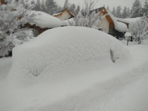 neve argentina