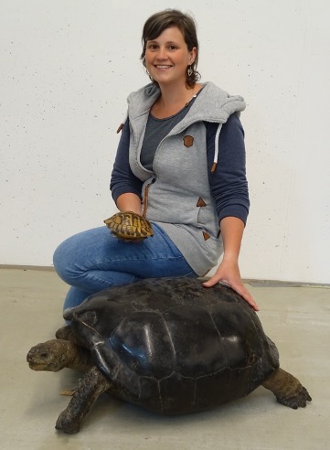 tartaruga gigante scoperta sicilia