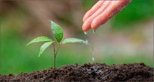 agricoltura