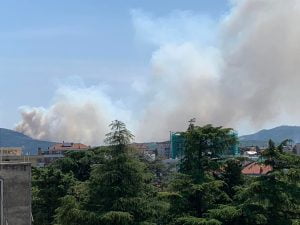 incendio-trieste