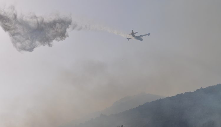incendi-sicilia-1