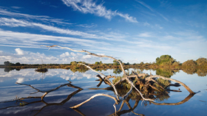 Parco Naturale di Es Trenc