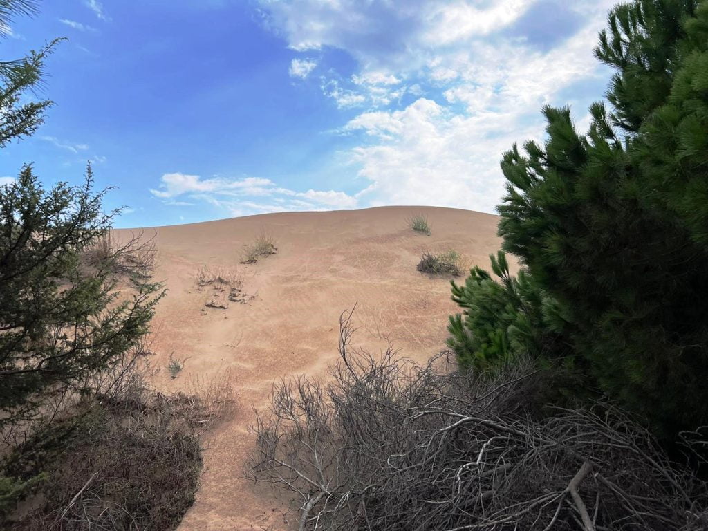 dune sabbia spiaggia santa maria del focallo