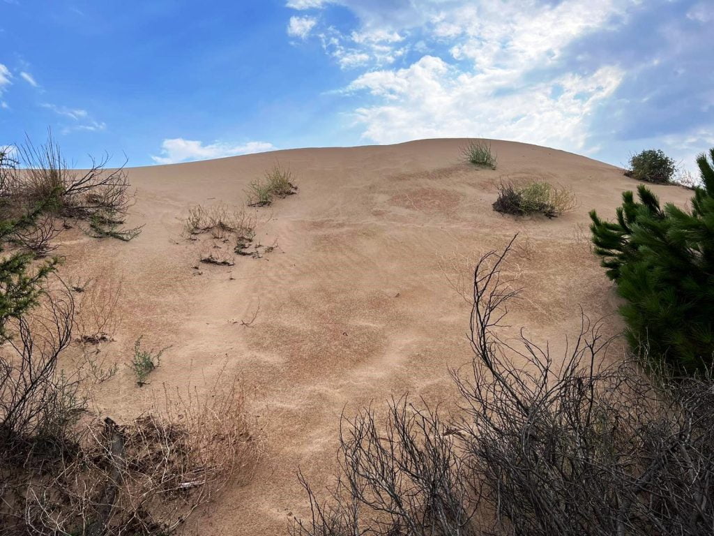 dune sabbia spiaggia santa maria del focallo