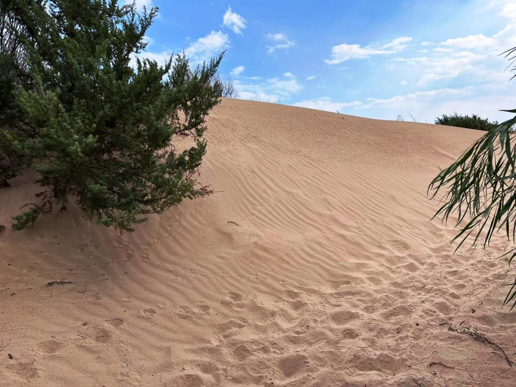 dune sabbia spiaggia santa maria del focallo