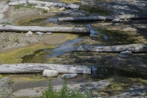 fiume breggia siccità svizzera