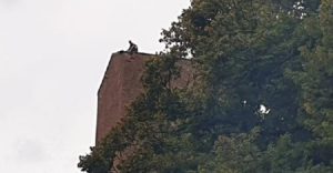 Fulmine colpisce torre a mantova