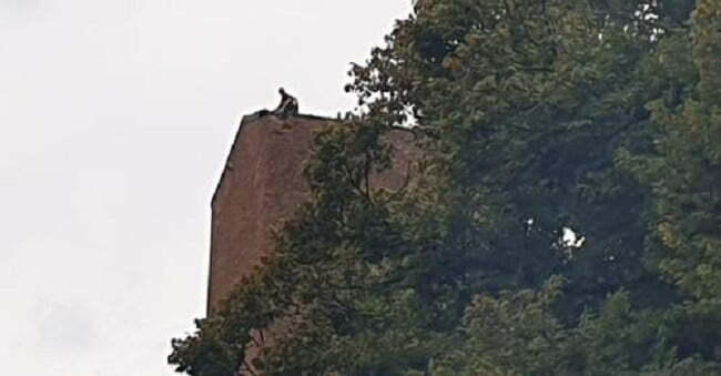 Fulmine colpisce torre a mantova