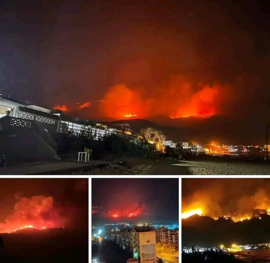 incendi algeria