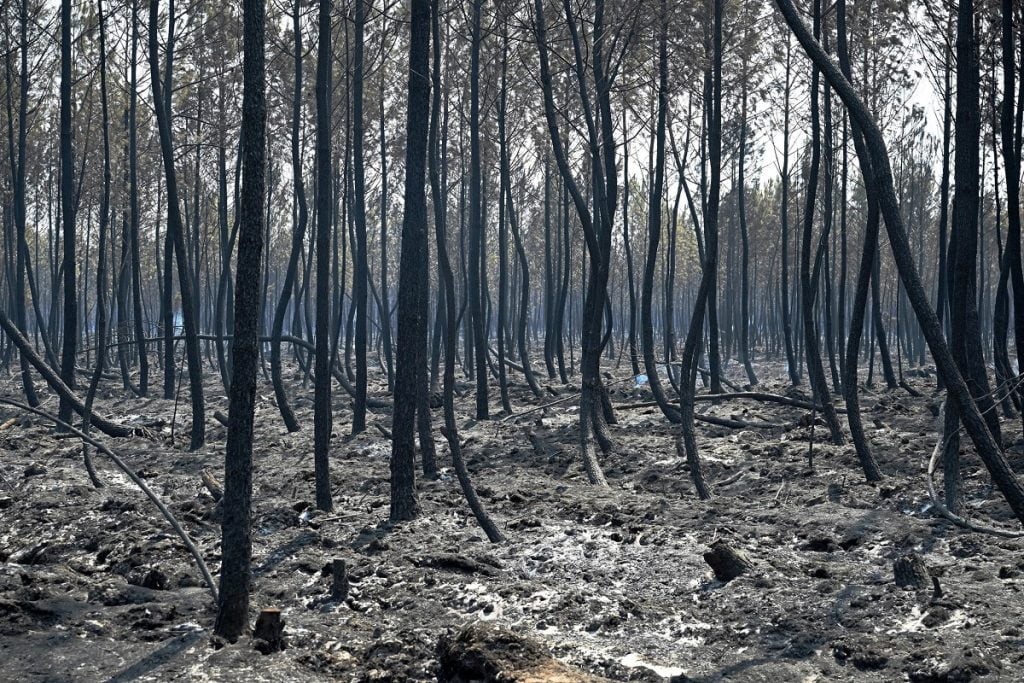 incendi gironda francia
