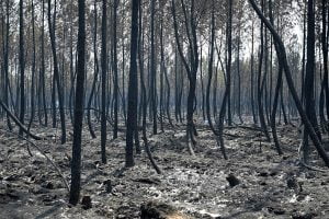 incendi gironda francia