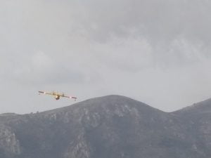 incendi palermo sicilia