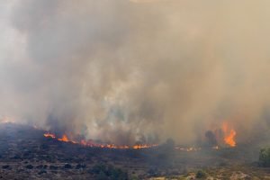 incendi spagna