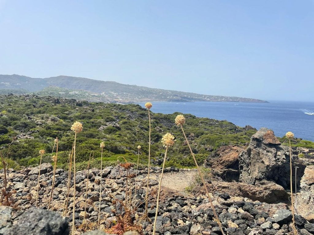 pantelleria