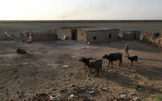 siccità iraq