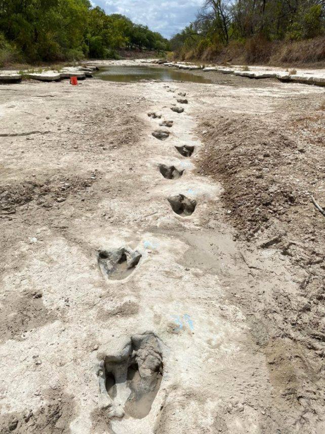 tracce dinosauri siccità texas
