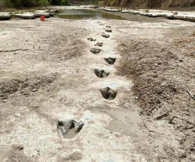 Paul Baker / Dinosaur Valley State Park