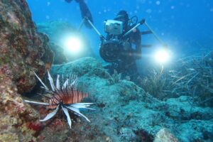 Cambiamenti climatici nuova rotta trans-oceanica per i pesci marini