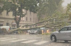 maltempo jesi albero su auto