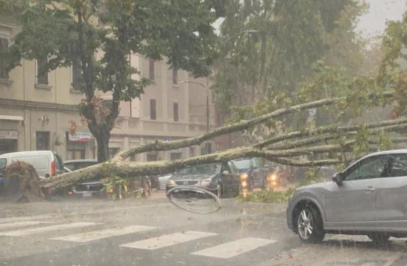 maltempo jesi albero su auto