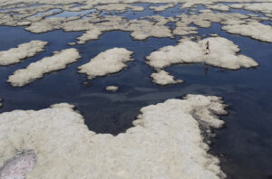 Great Salt Lake
