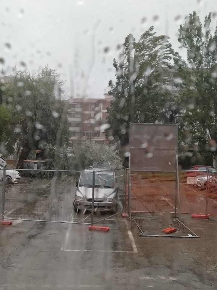 Rimini