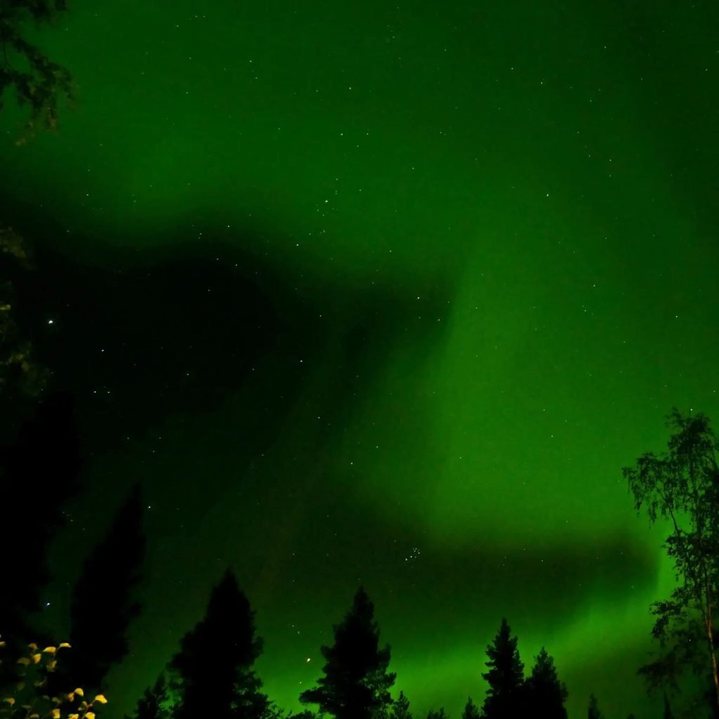 aurora polare