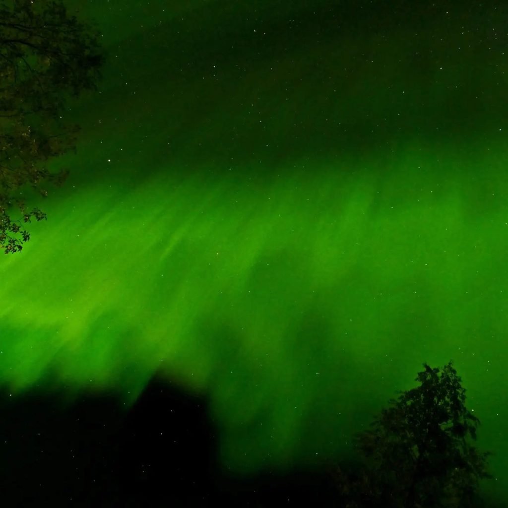 aurora polare