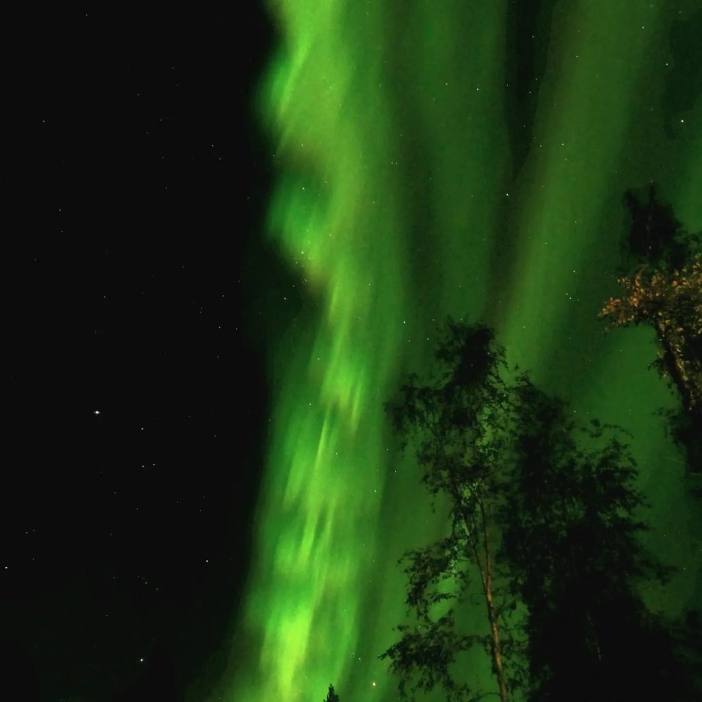 aurora polare