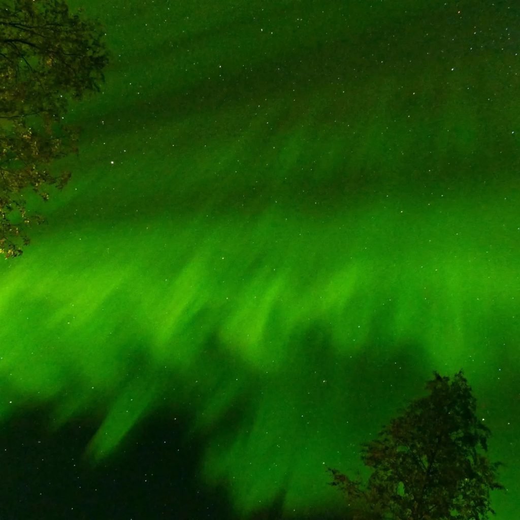 aurora polare