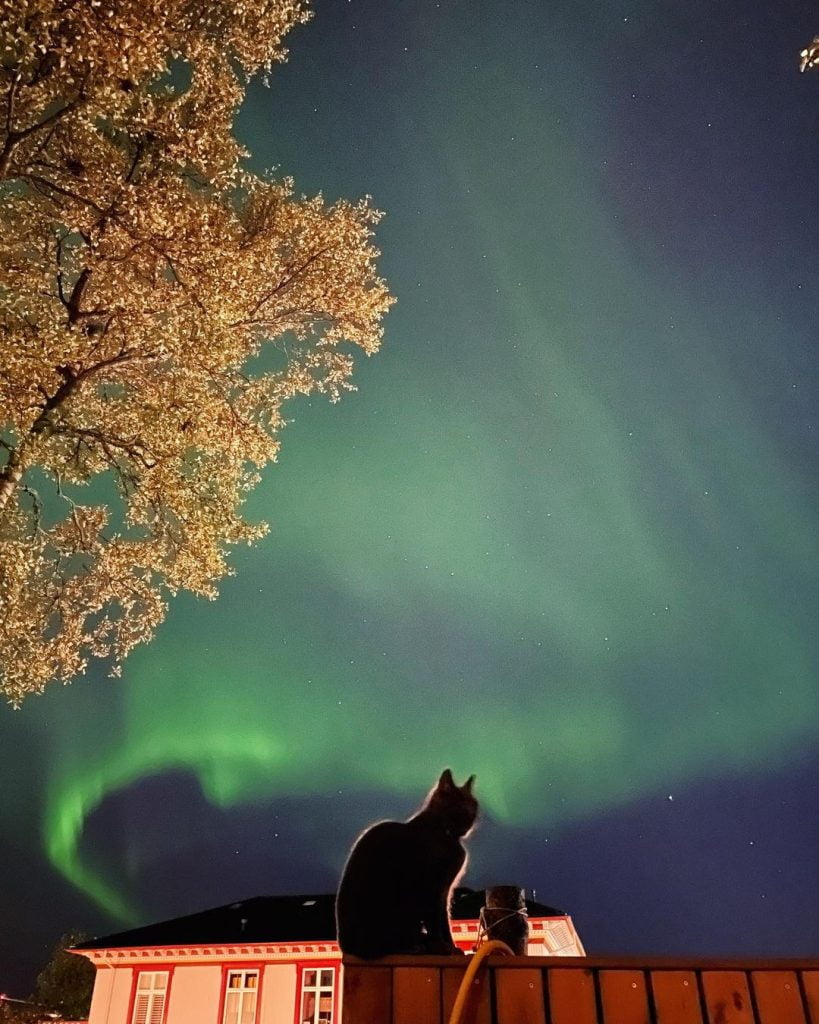 aurora polare Reykjavík 3 settembre 2022