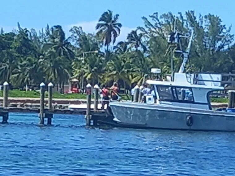 squalo bahamas