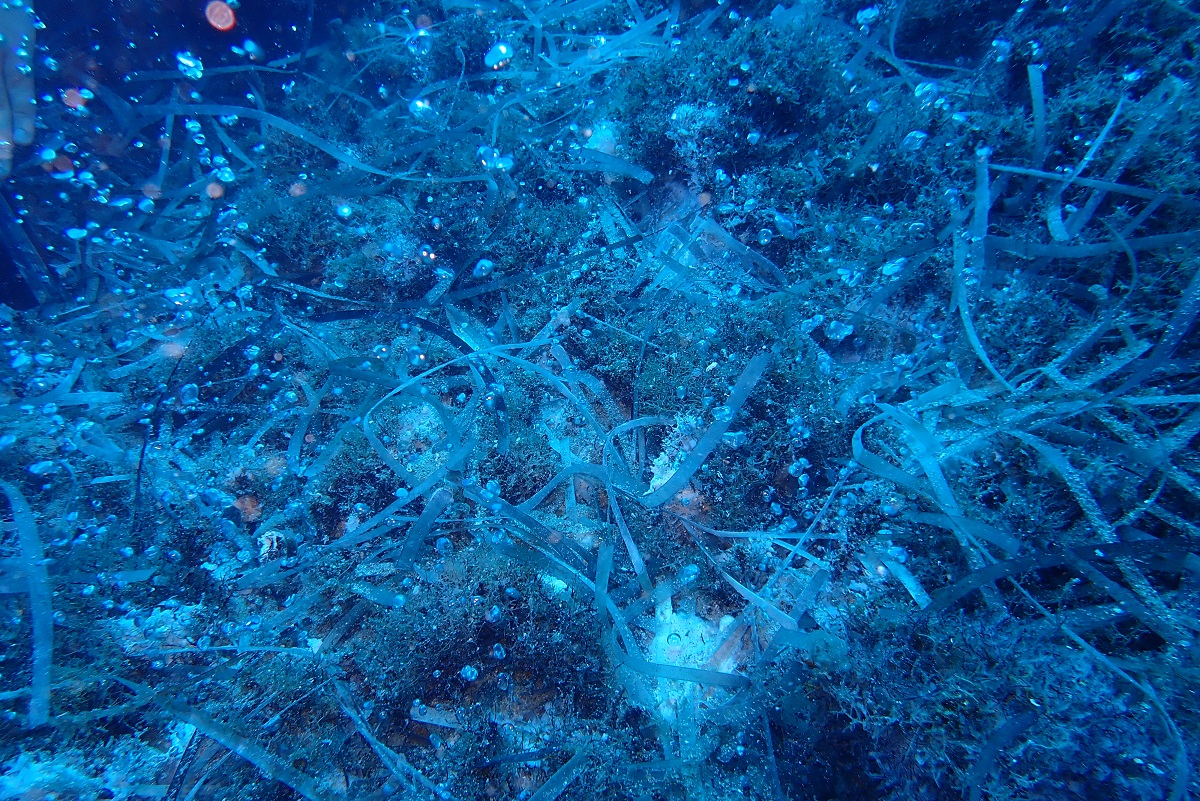 emissioni mediterraneo ogs