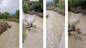 fiume cecina in piena