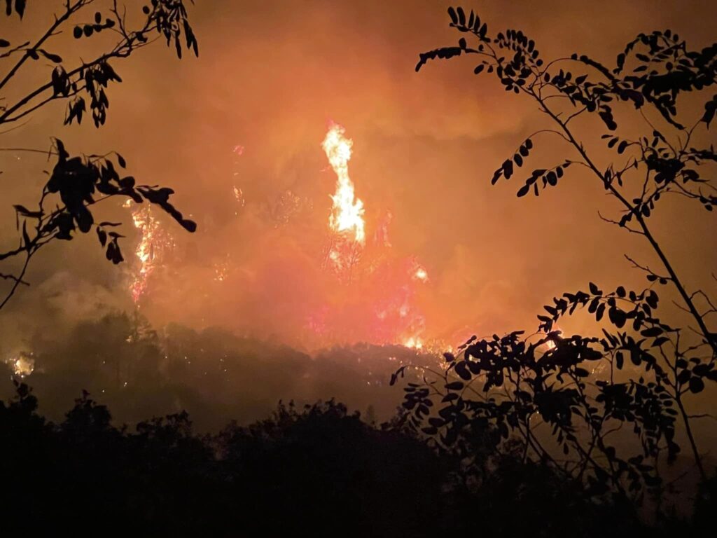 incendio calatafimi sicilia