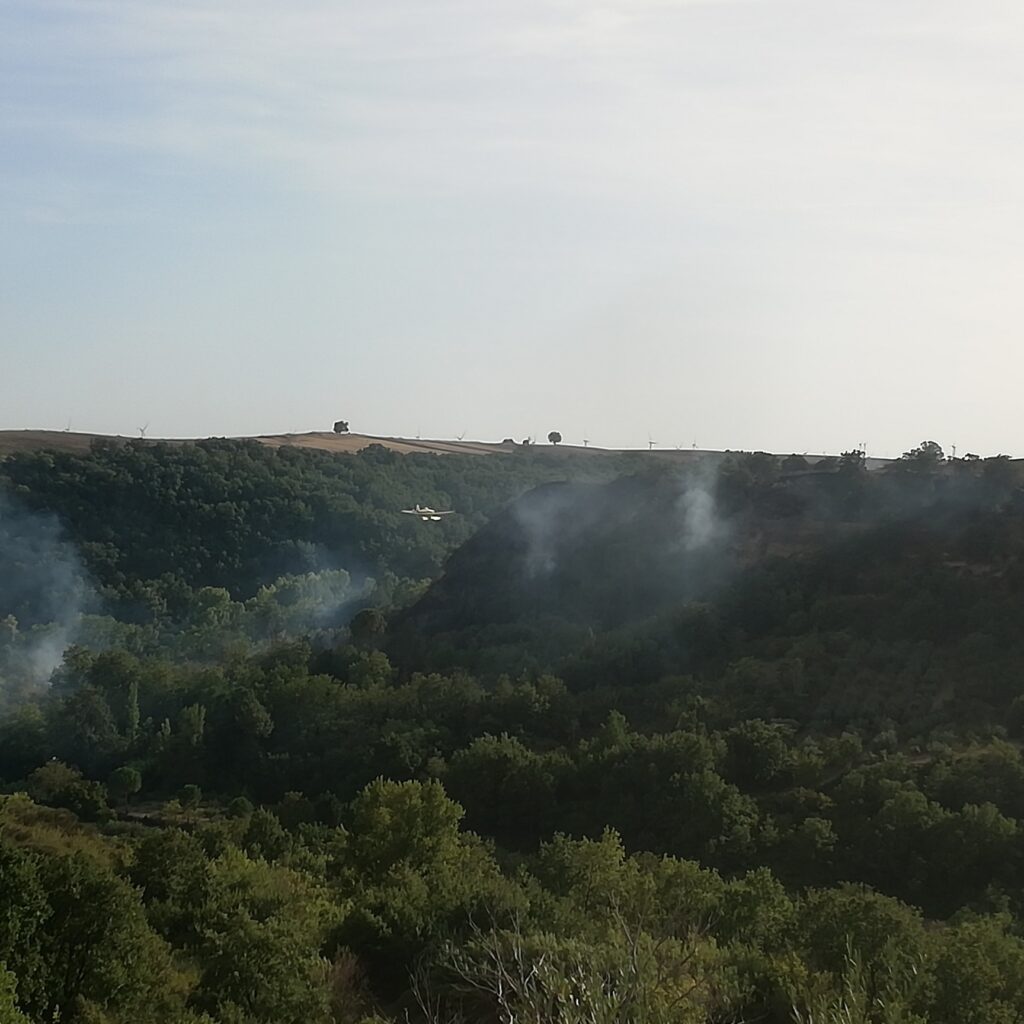 incendio spinazzola